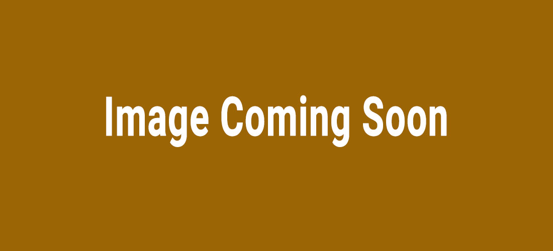 The Flagship Brewing Company Header Image 