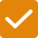 Orange Check